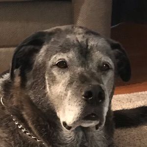 Meet your Posher, Gracen